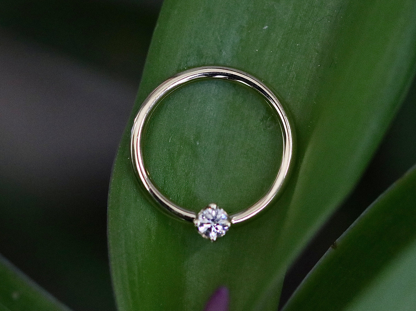 14K Seamless Ring con cristal en 3mm por Norvoch Jewelry