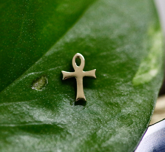 14K Accesorio Flat Ankh de BVLA